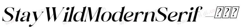 StayWildModernSerif 字体转换